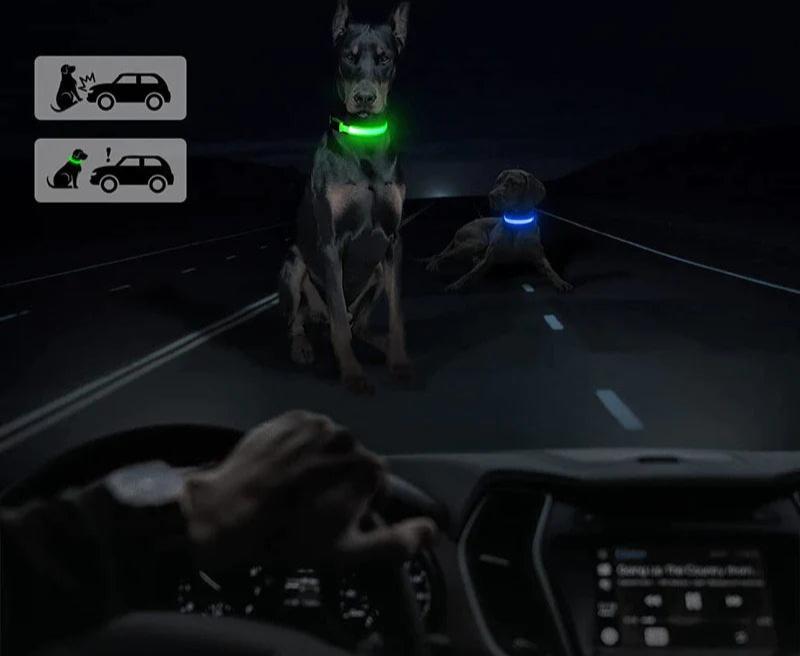 LED Adjustable Dog Collar Blinking Flashing Light up Glow Pets Safety Waterproof