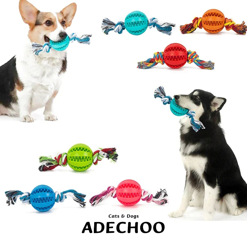 Same Day Delivery Dog Toy Interactive Bal for Dog Chewing Toys for Pet Tooth Cleaning Dog Food Ball Solid Toy Ball Dog Chewing